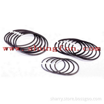 piston ring 